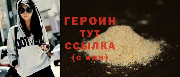индика Ельня