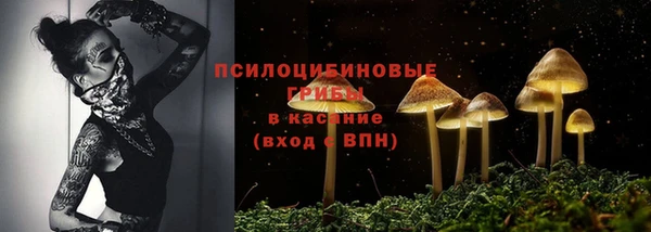 каннабис Елизово