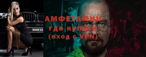 индика Ельня