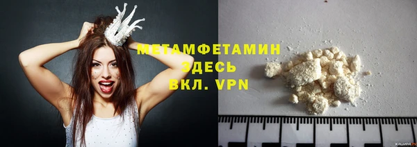 индика Ельня