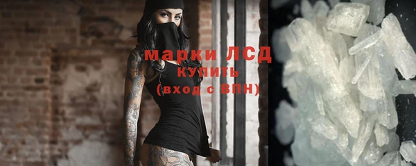 индика Ельня