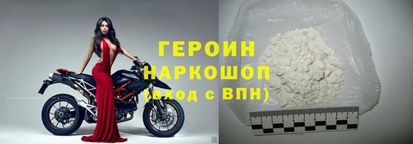 индика Ельня