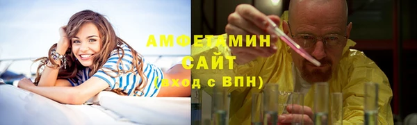индика Ельня