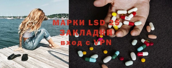 индика Ельня