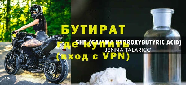 индика Ельня