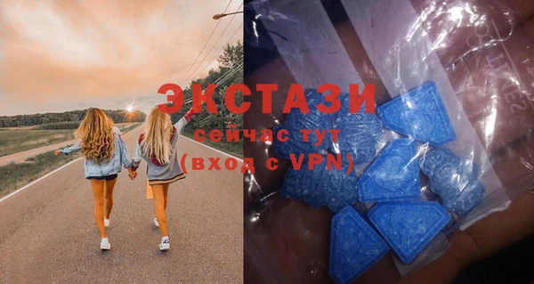 индика Ельня
