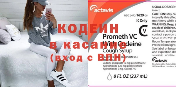 индика Ельня