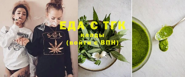 индика Ельня
