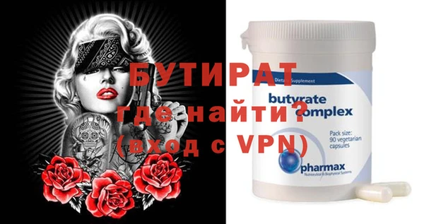 индика Ельня