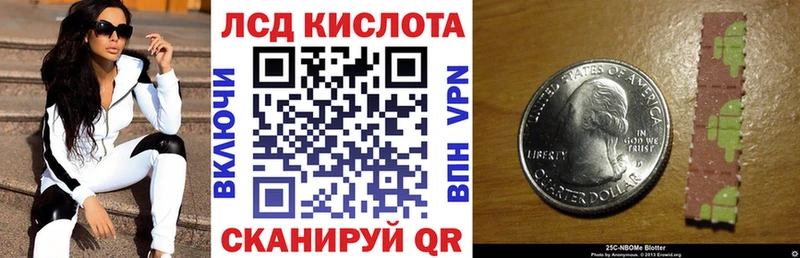 Купить закладки  Жиздра  Марки 25I-NBOMe 1,5мг 