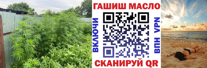 Купить закладки  Жиздра  ТГК концентрат 
