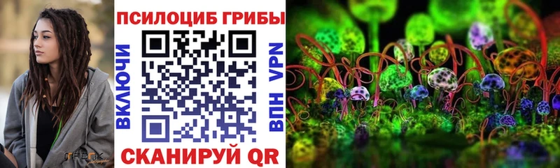 Купить где  Жиздра  Галлюциногенные грибы прущие грибы 